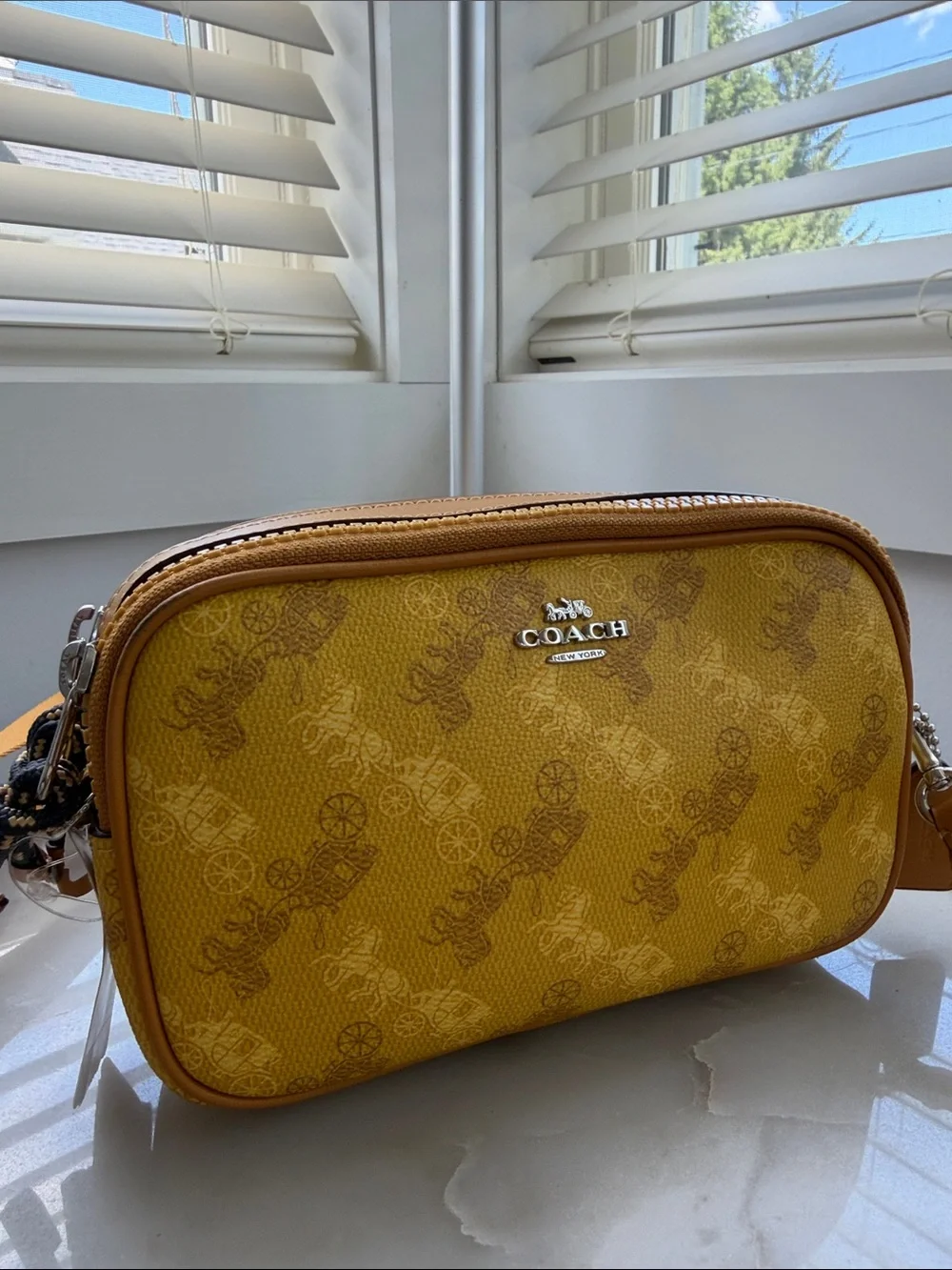 NWT Coach Crossbody Pouch